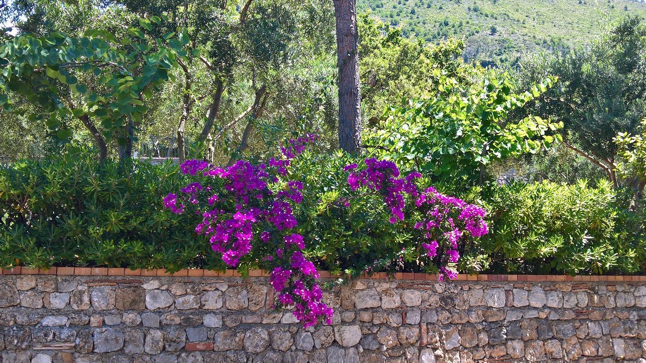 Hotel Cala Del Citro Maratea Eksteriør billede
